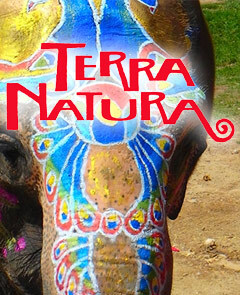 Entradas Terra Natura / Aqua Natura Benidorm